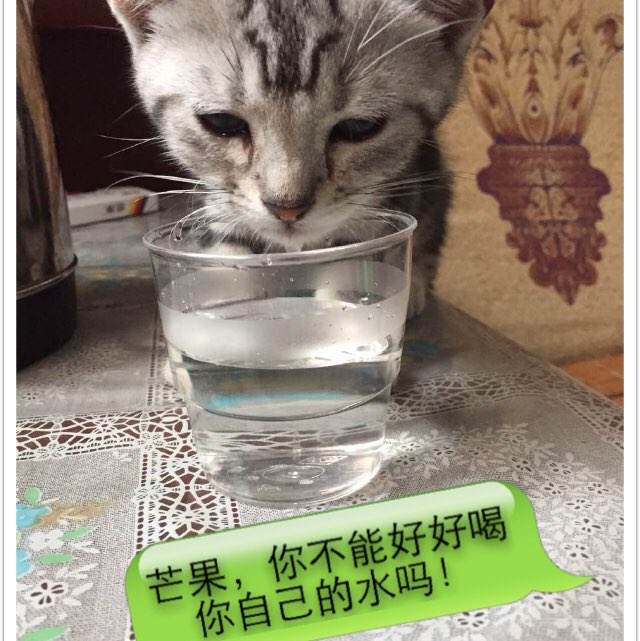 存款证明取钱需要什么